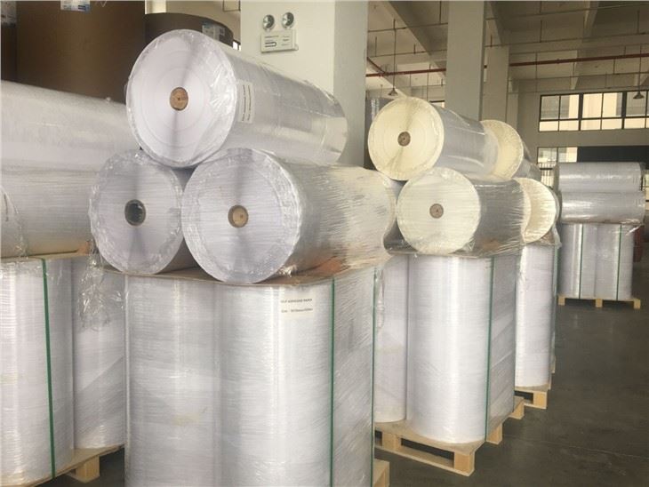 Super High Gloss Paper Label Jumbo Roll